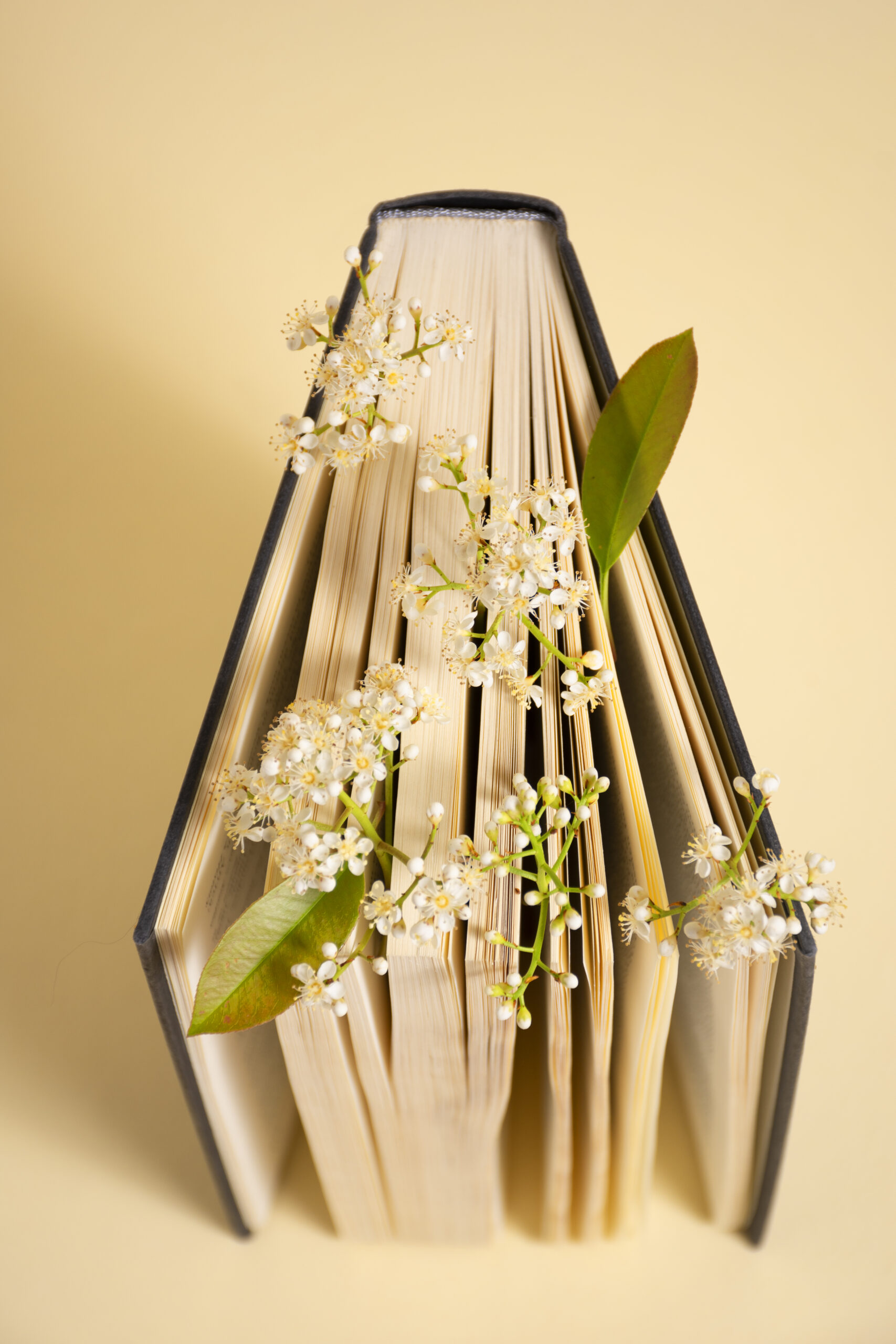 Self-publishing e libro ibrido: evoluzione dell’editoria tradizionale